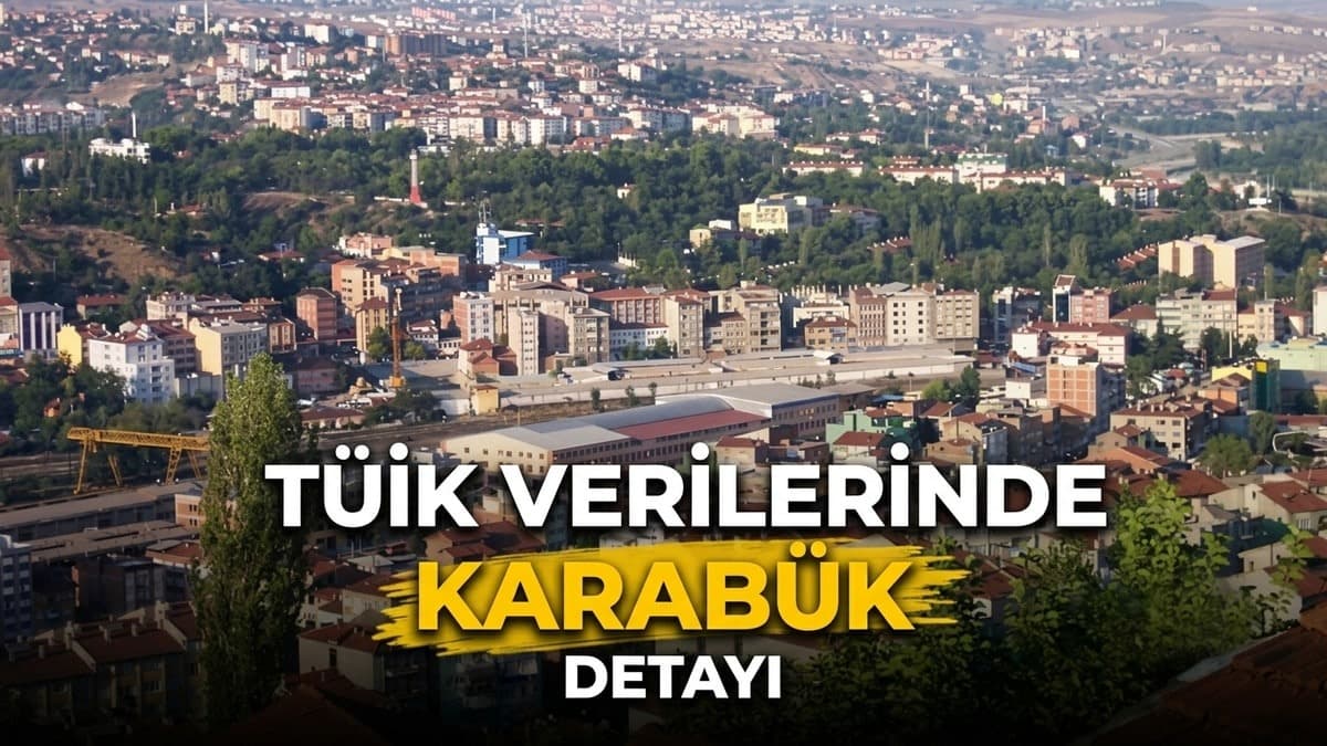 Karabük'ün de yer aldığı tüketim payı yüzde 1,1
