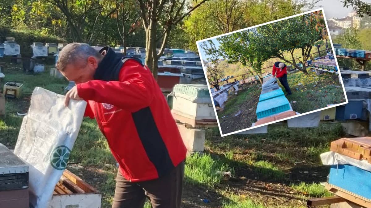Arılı kovan desteklemeleri için saha denetimleri