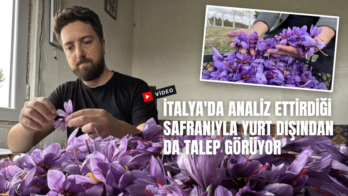 İtalya'da analiz ettirdiği safranıyla yurt dışından da talep görüyor