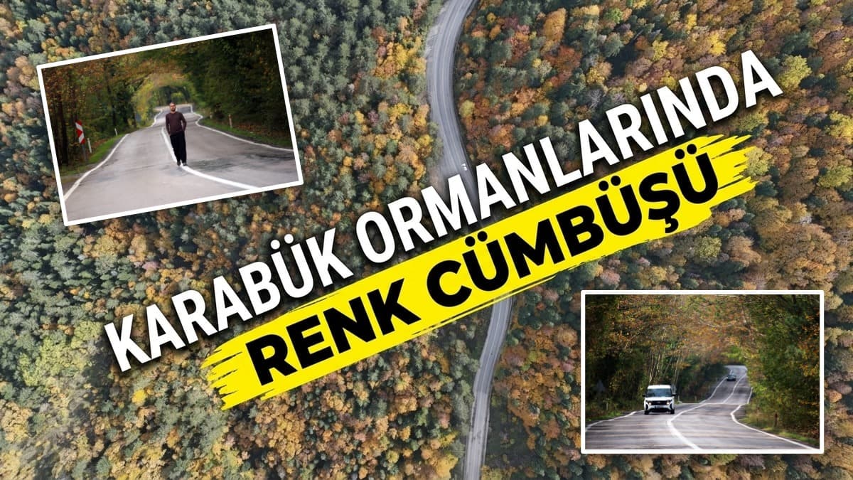 Karabük ormanlarında renk cümbüşü
