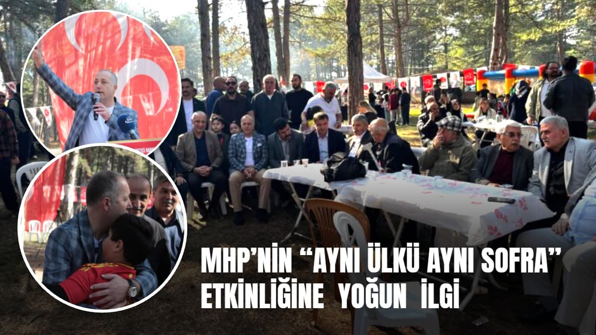 Karabük MHP'den Aladağ'da yoğun katılımlı piknik