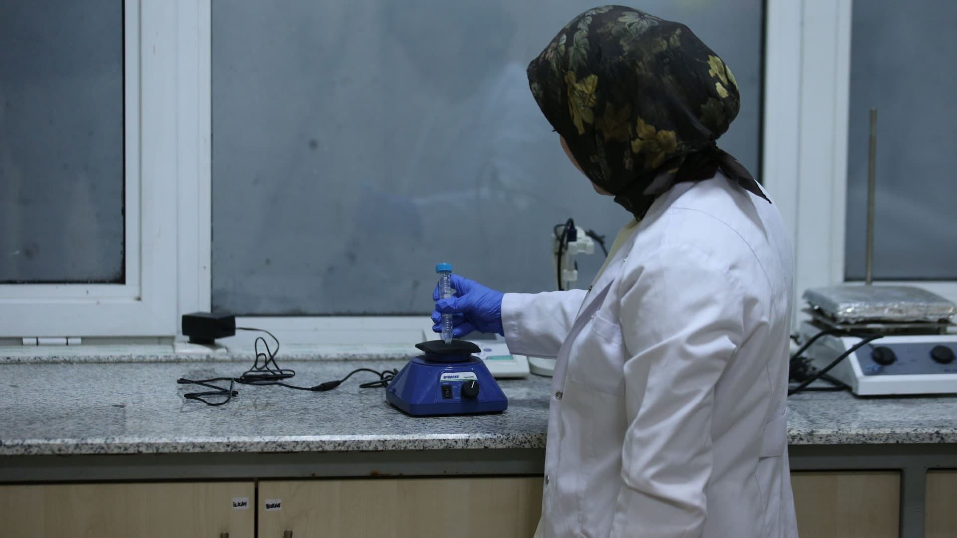 KBÜ araştırması: Zeytin yaprağı zararları önlüyor