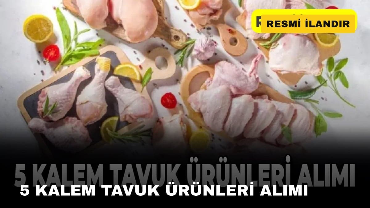 5 KALEM TAVUK ÜRÜNLERİ ALIMI