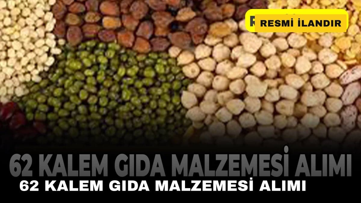 62 KALEM GIDA MALZEMESİ ALIMI