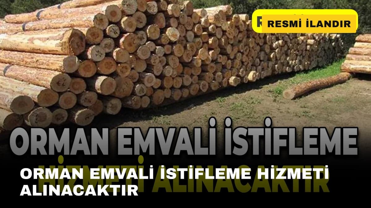 ORMAN EMVALİ İSTİFLEME HİZMETİ ALINACAKTIR