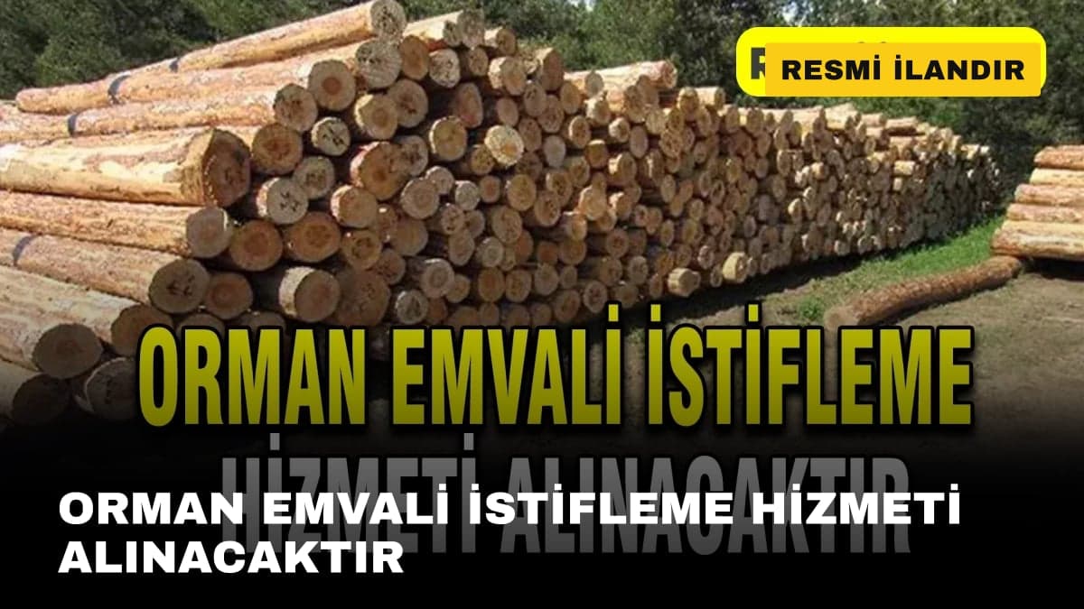 ORMAN EMVALİ İSTİFLEME HİZMETİ ALINACAKTIR