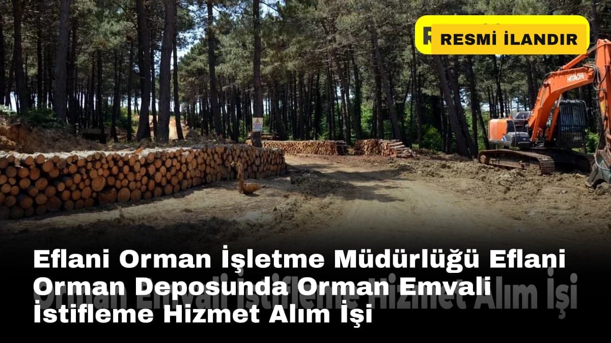 Eflani Orman İşletme Müdürlüğü Eflani Orman Deposunda Orman Emvali İstifleme Hizmet Alım İşi