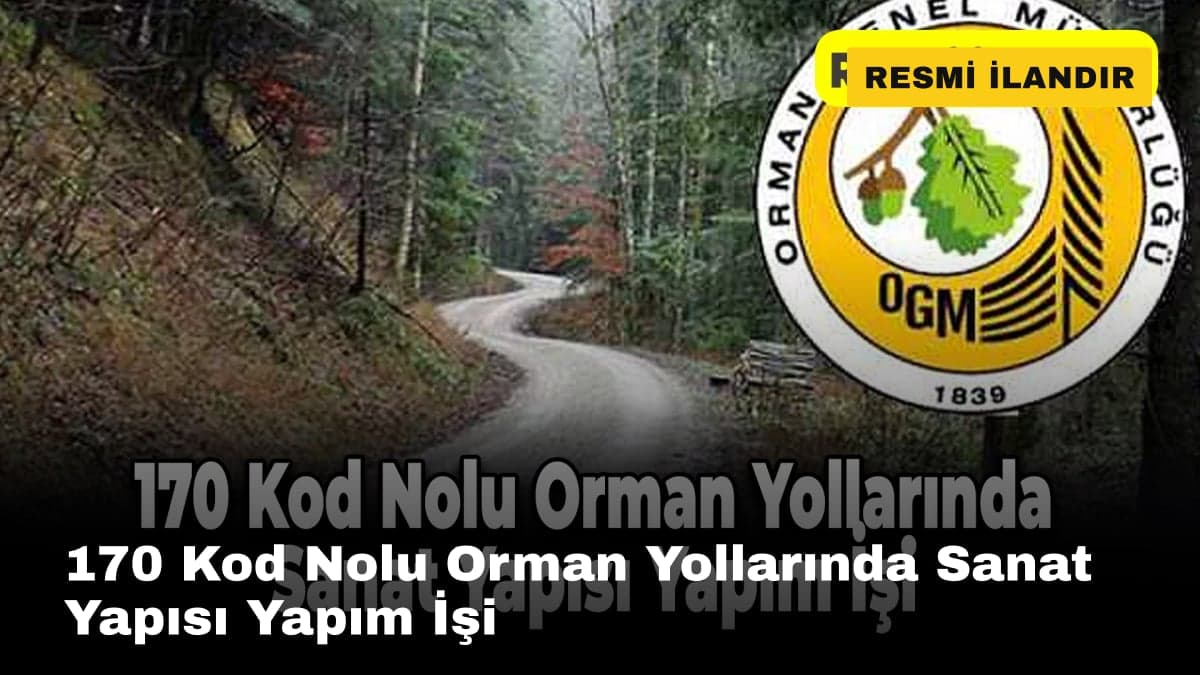 170 Kod Nolu Orman Yollarında Sanat Yapısı Yapım İşi
