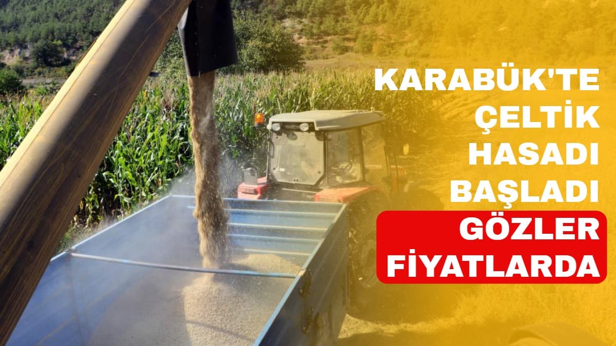 Karabük'te çeltik hasadı başladı, gözler fiyatlarda