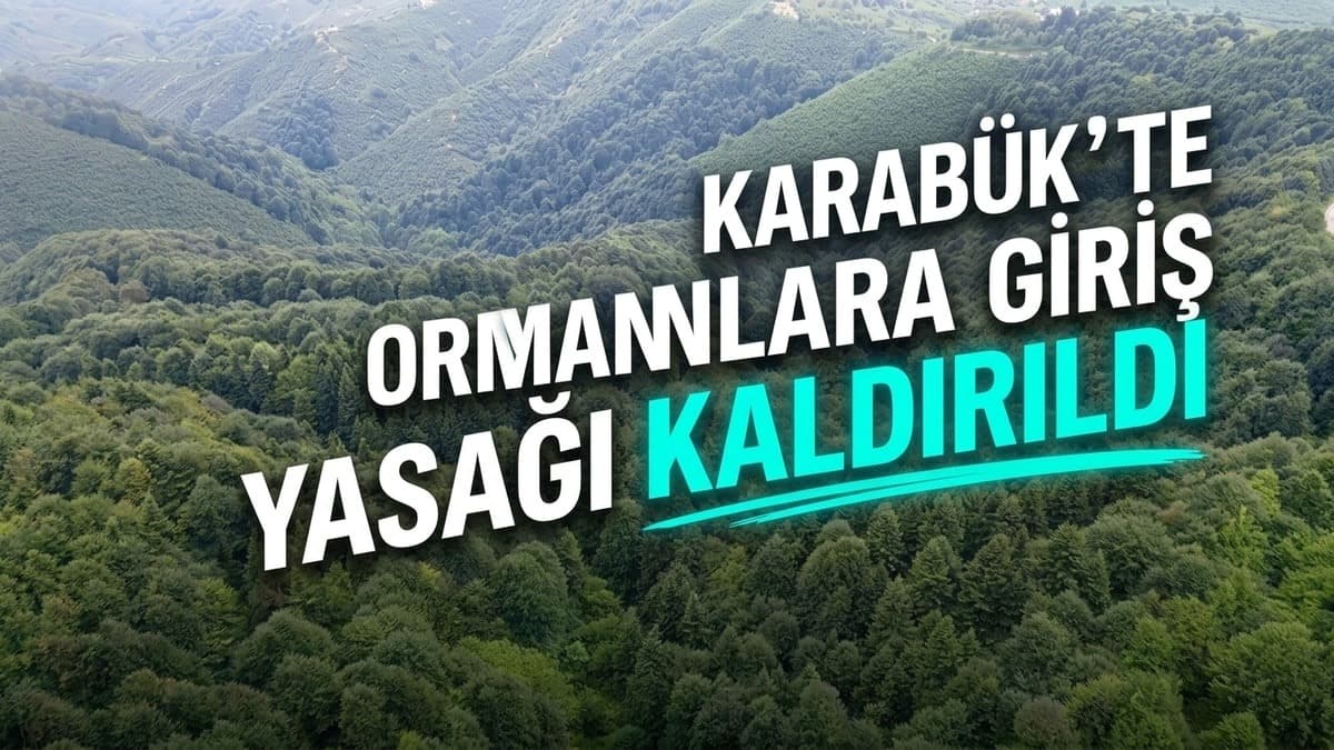 Karabük'te ormanlara giriş yasağı kaldırıldı