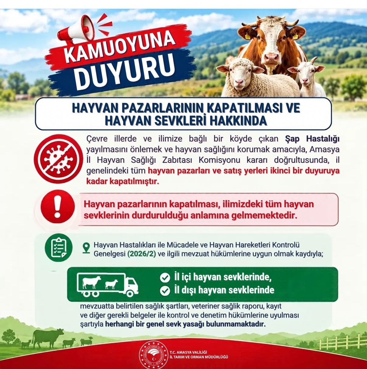 Amasya’da şap hastalığı tedbiri: Hayvan pazarları kapatıldı