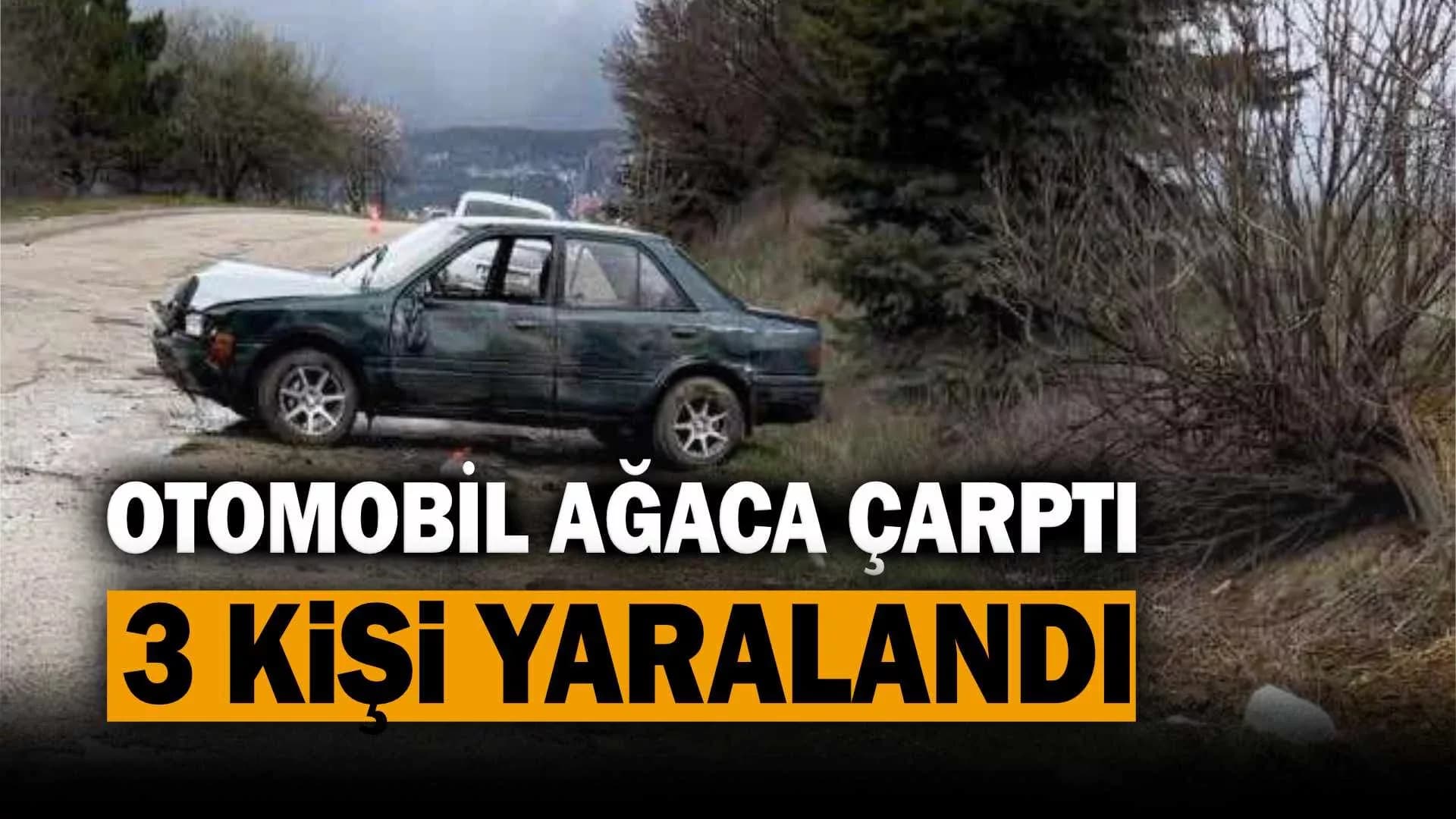 Karabük'te otomobil ağaca çarptı: 3 yaralı