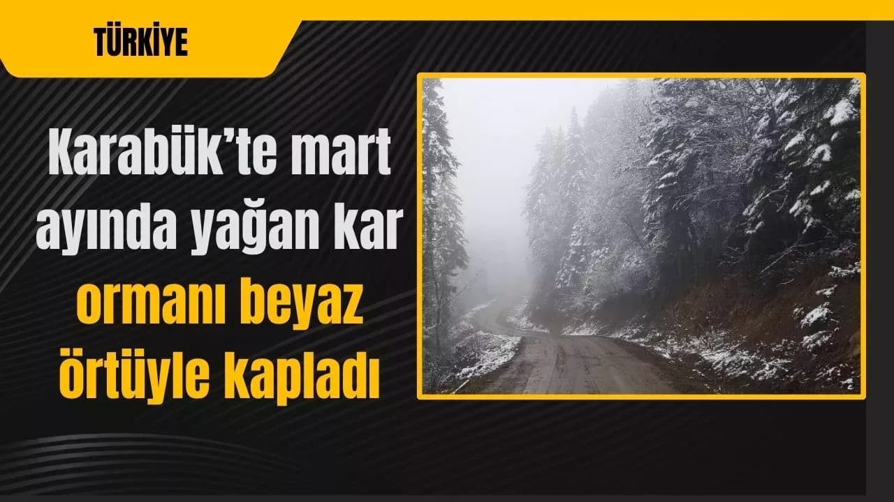 Mart ayında yağan kar ormanı beyaz örtüyle kapladı