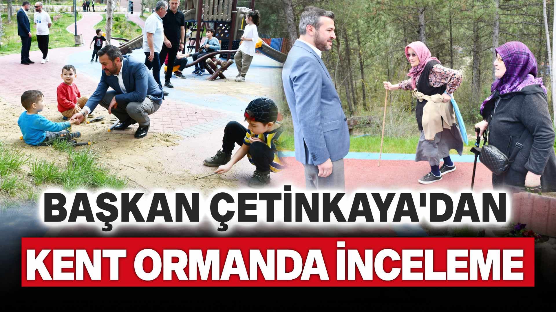 Başkan Çetinkaya'dan Kent Ormanda İnceleme