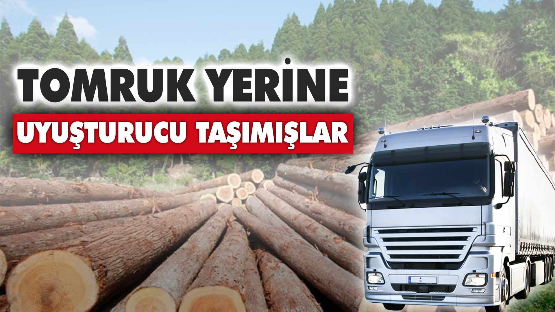 Tomruk yerine uyuşturucu taşımışlar