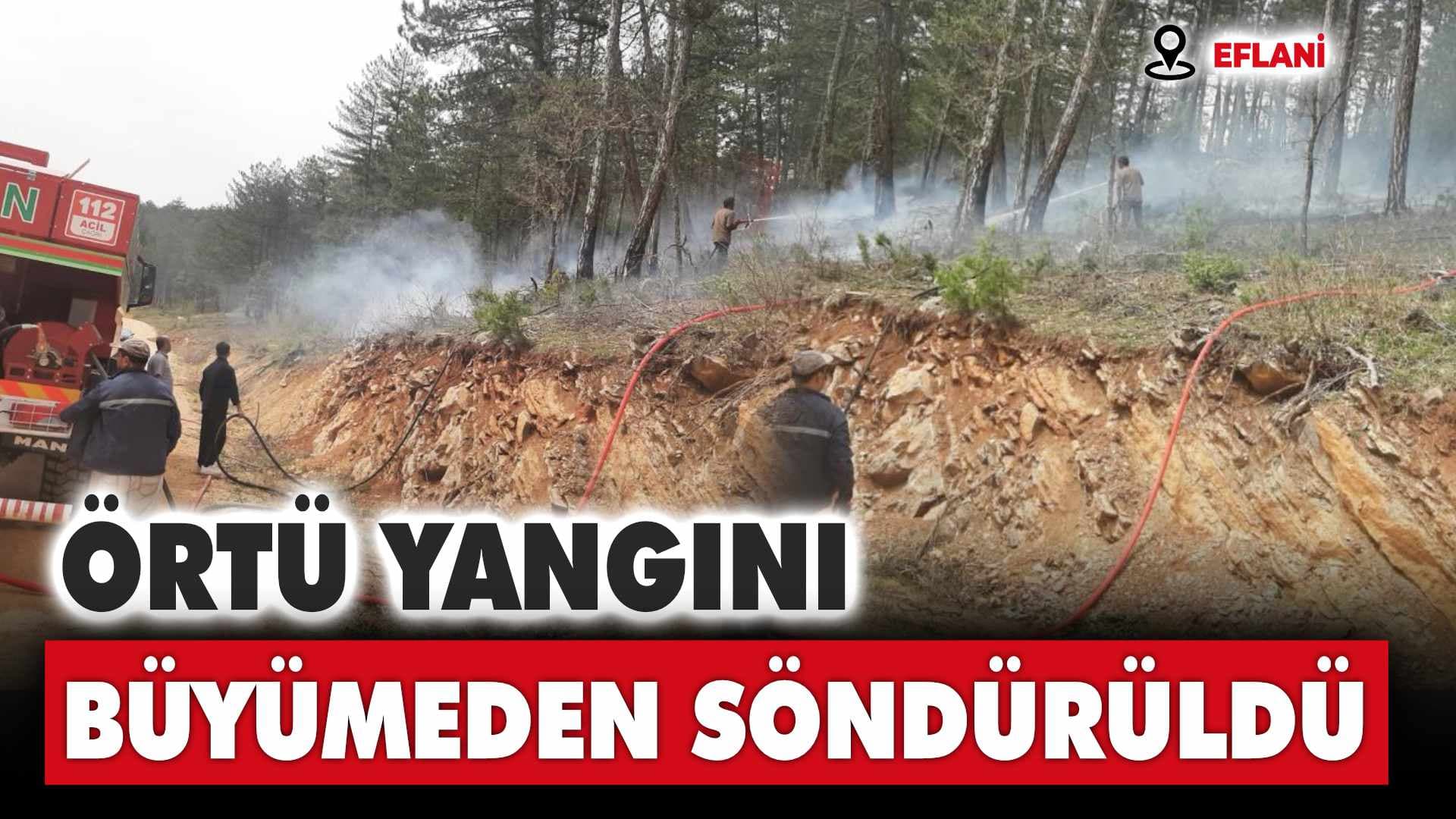 Eflani'de örtü yangını büyümeden söndürüldü