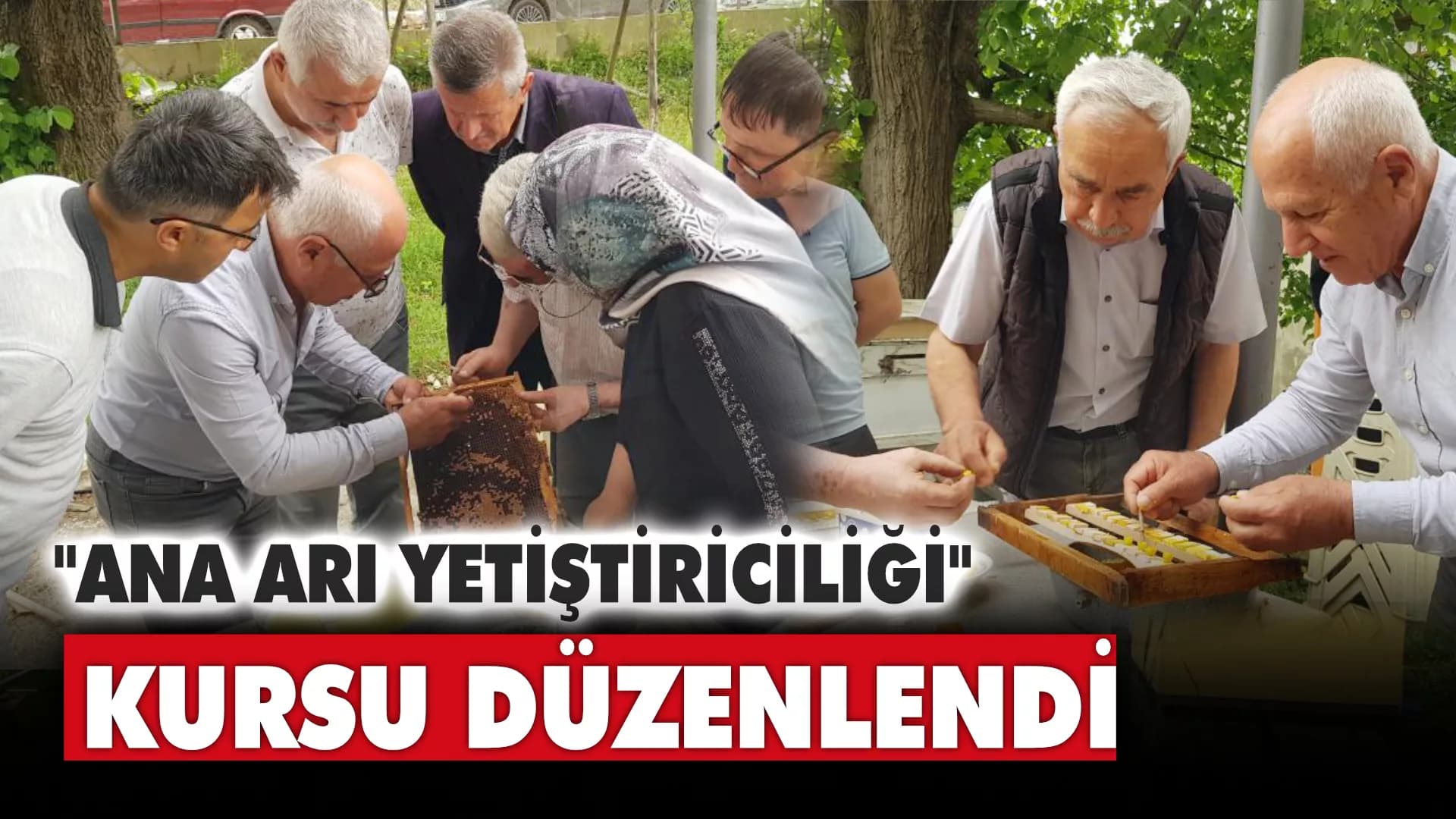 Karabük'te Arıcılar, Arıcılığın Püf Noktalarını Öğrendi