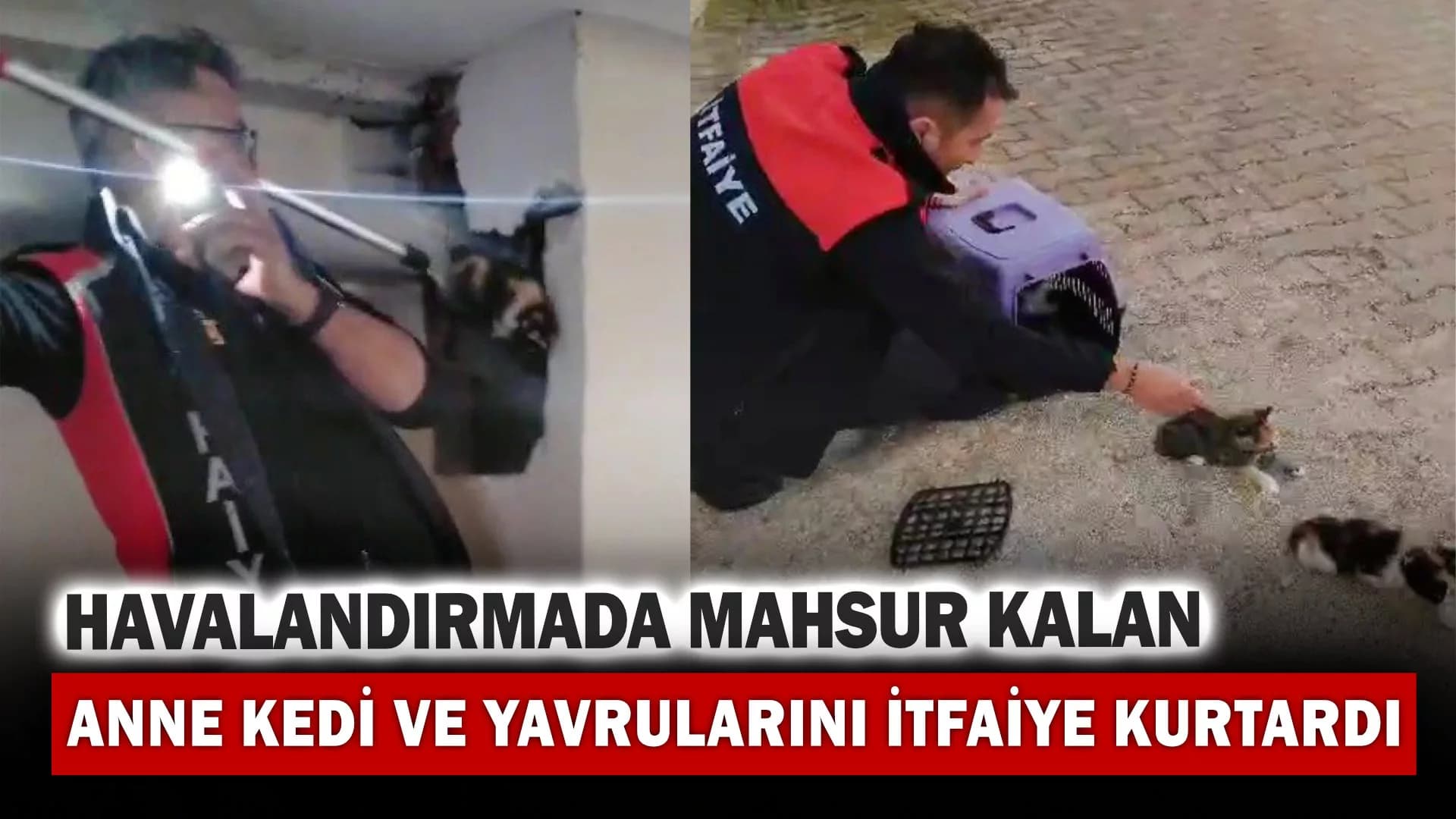 Havalandırmada mahsur kalan anne kedi ve yavrularını itfaiye ekipleri kurtardı