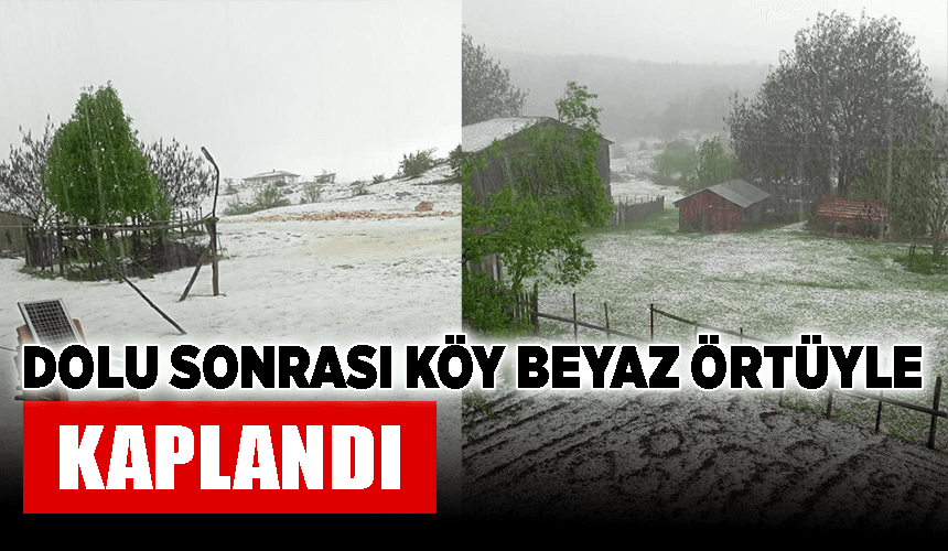 Dolu sonrası köy beyaz örtüyle kaplandı, tarım arazileri zarar gördü
