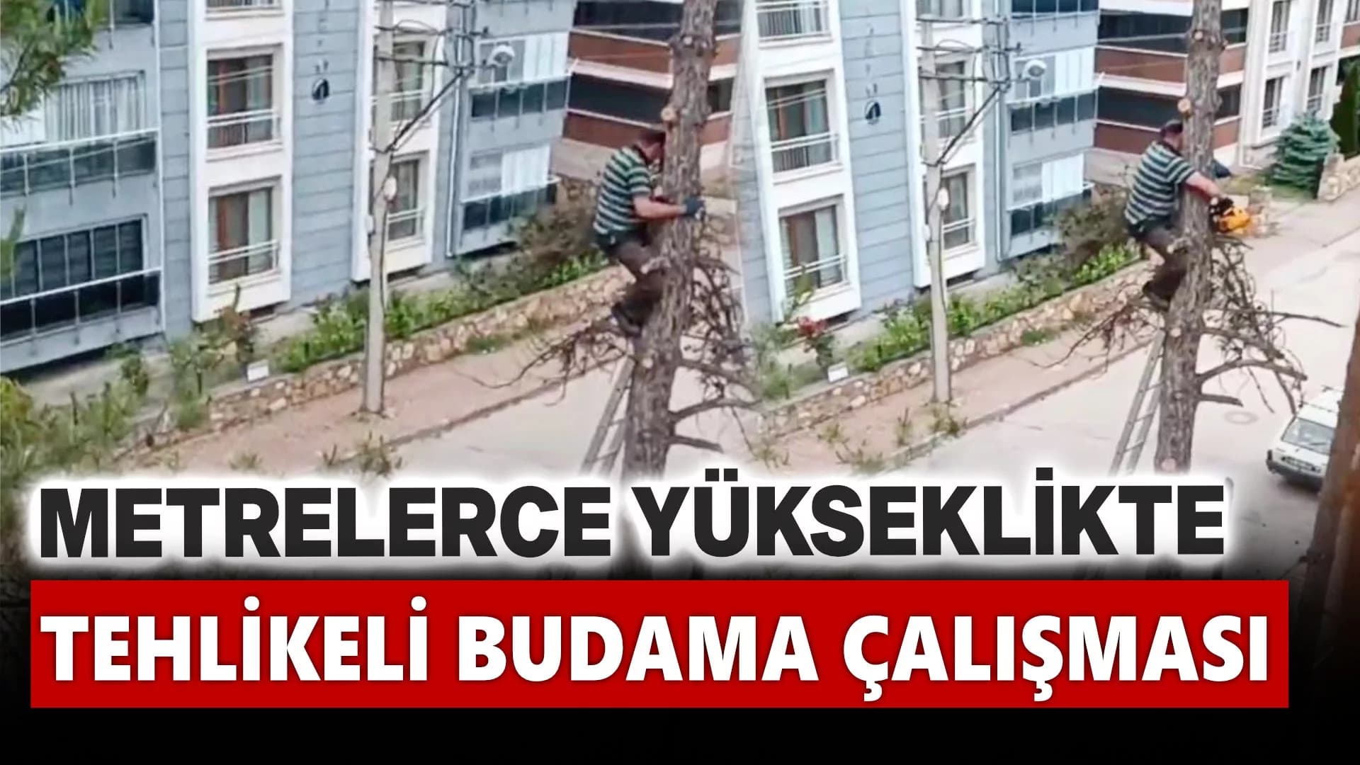 Metrelerce yükseklikte tehlikeli budama çalışması kamerada