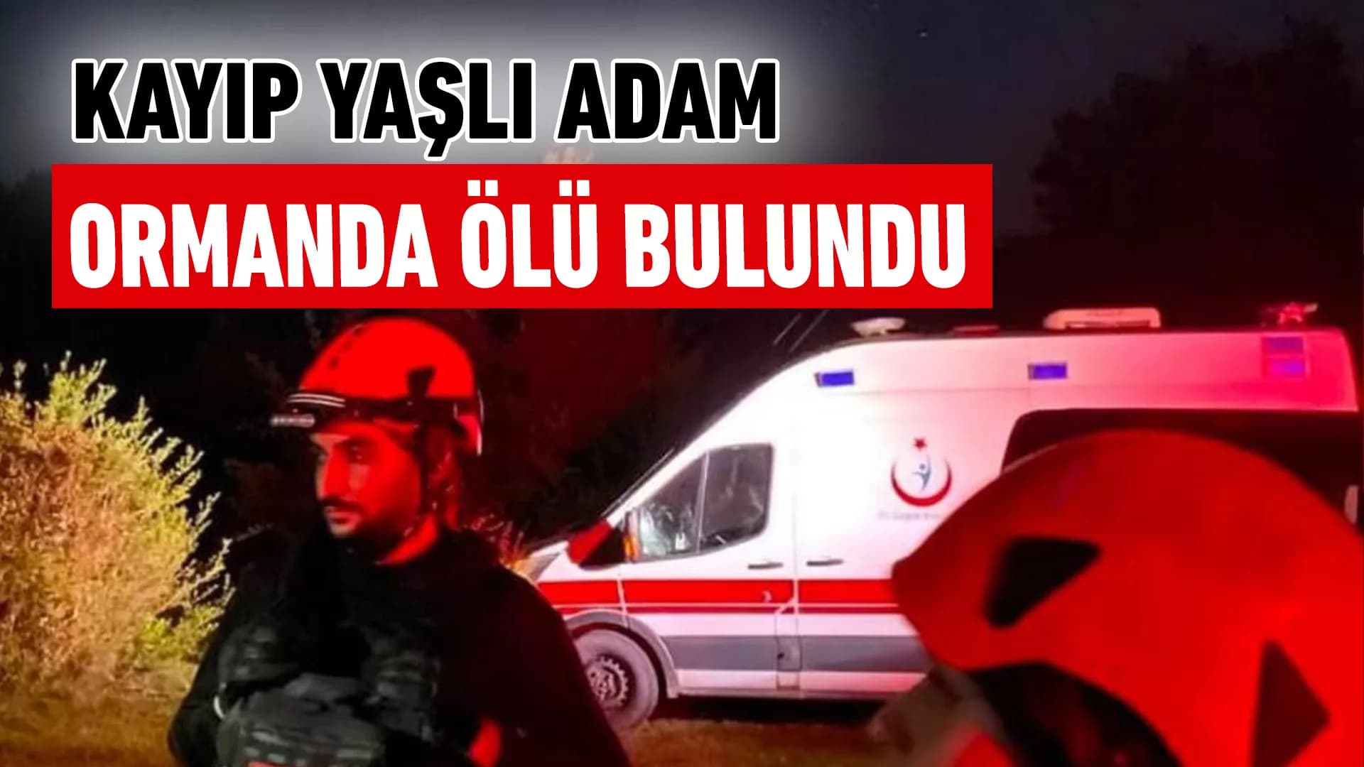 Eflani'de Kayıp Yaşlı Adam Ormanda Ölü Bulundu