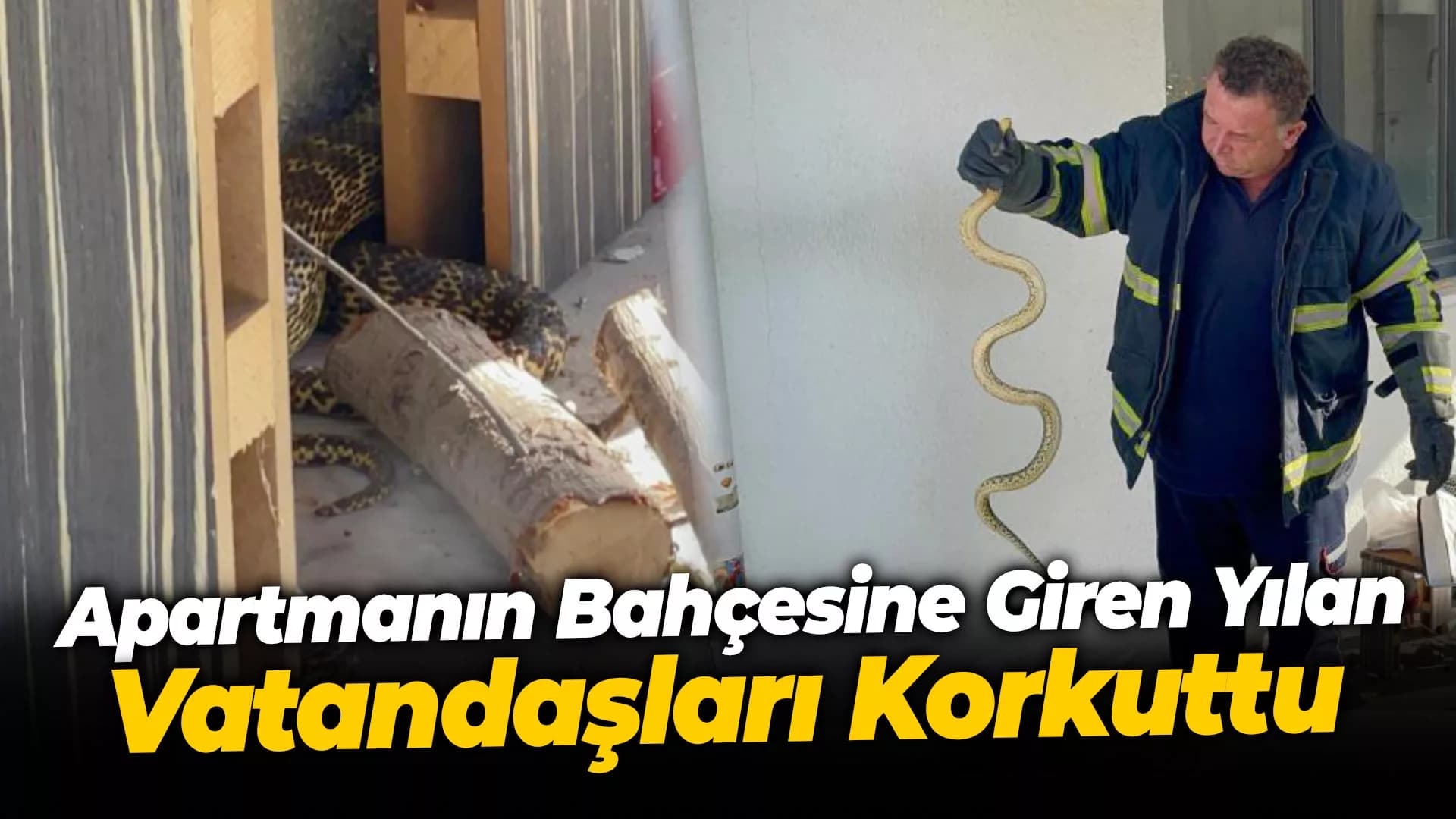 Apartmanın bahçesine giren yılan vatandaşları korkuttu