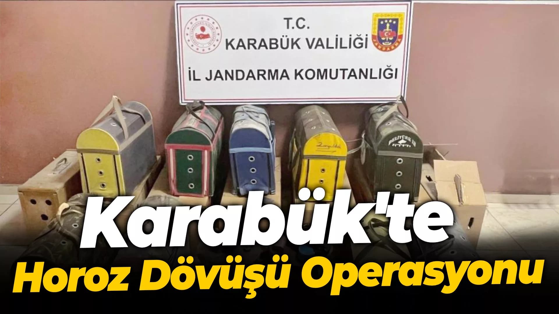 Karabük'te Horoz Dövüşü Operasyonu