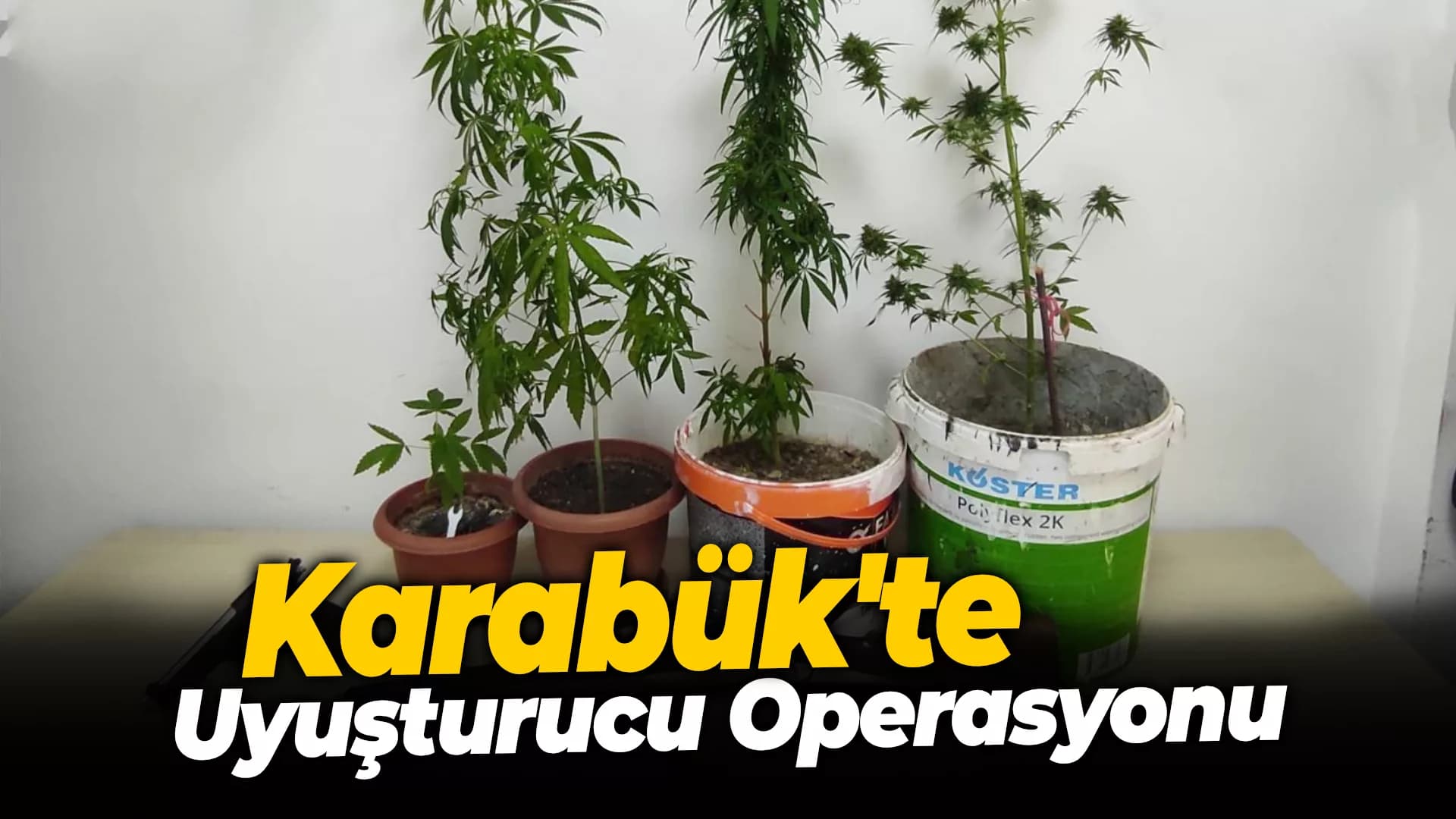 Karabük'te Uyuşturucu Operasyonu