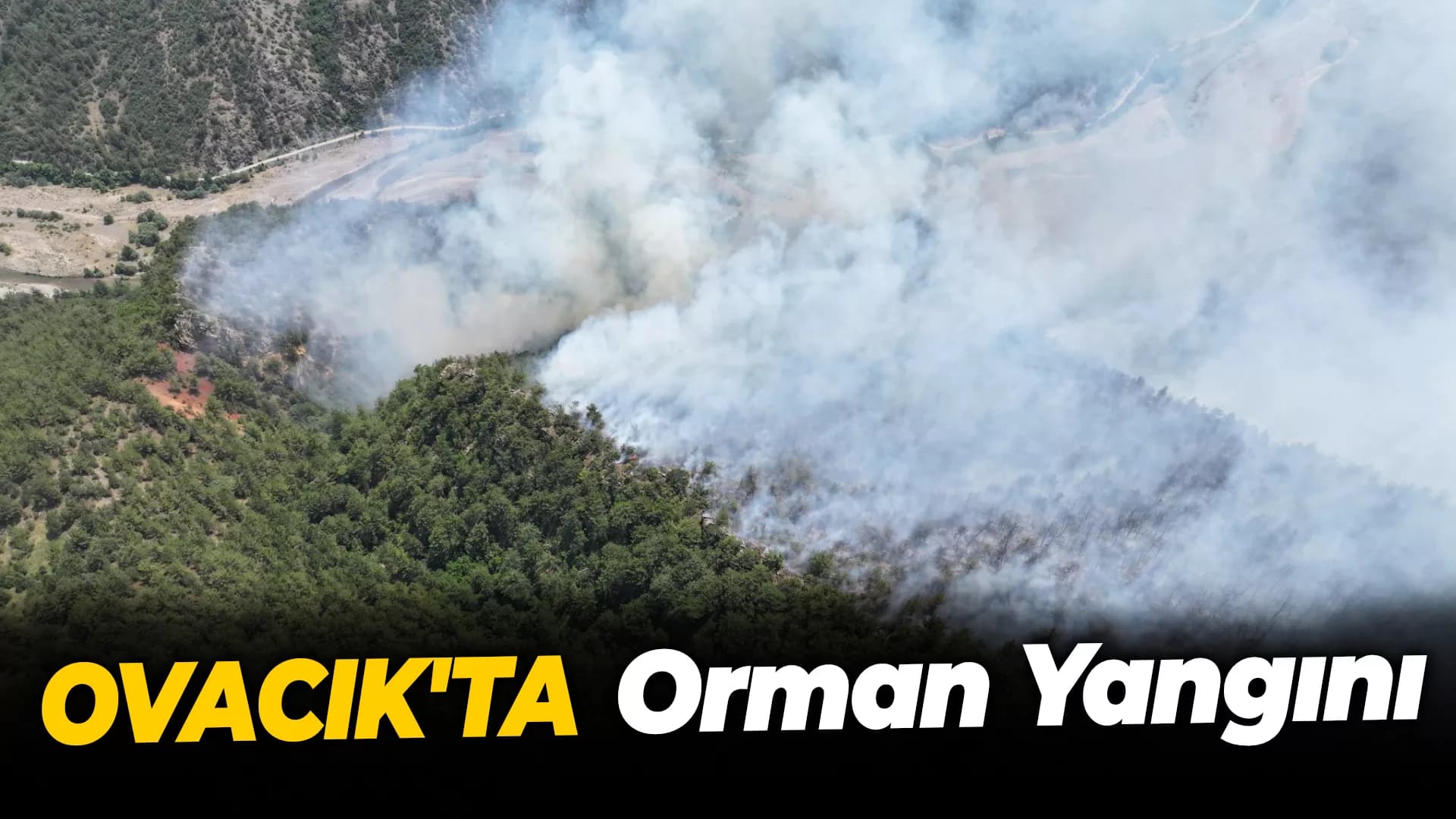 Ovacık’ta Orman Yangını