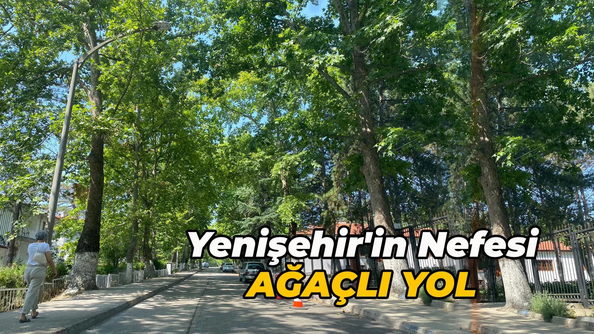 Yenişehir'in Nefesi: Ağaçlı Yol