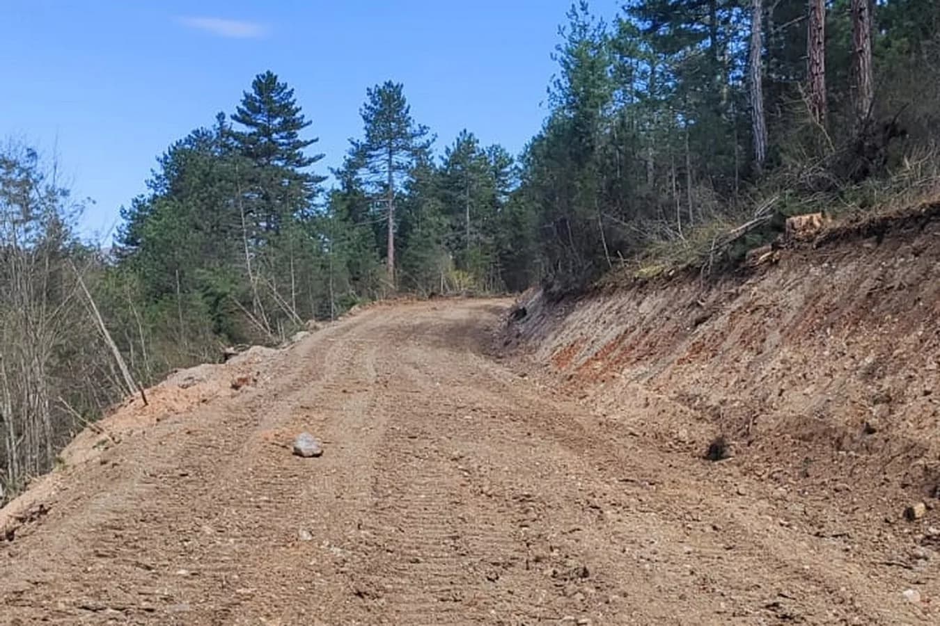 Bolu’da 12 kilometrelik orman yolu açıldı: Yangınlara daha hızlı müdahale edilecek