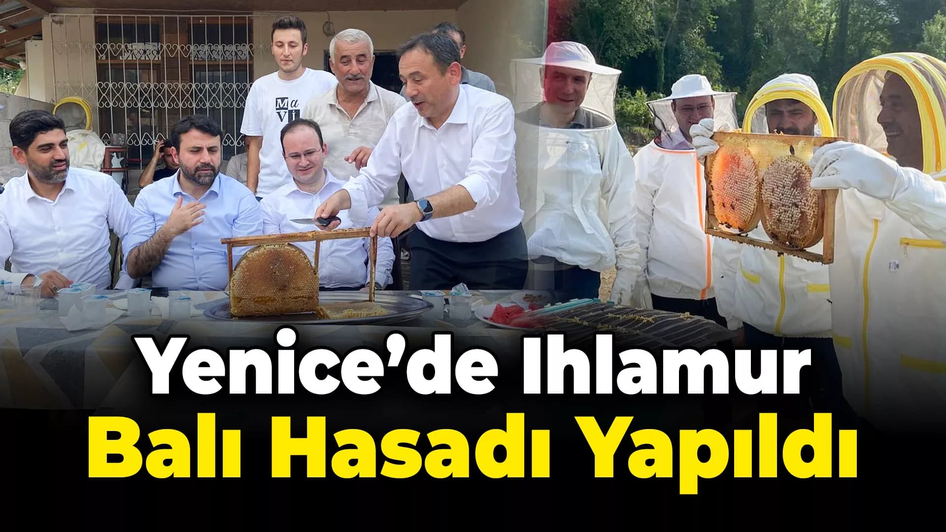 Coğrafi İşaretli Yenice Ihlamur Balı Hasadı Yapıldı
