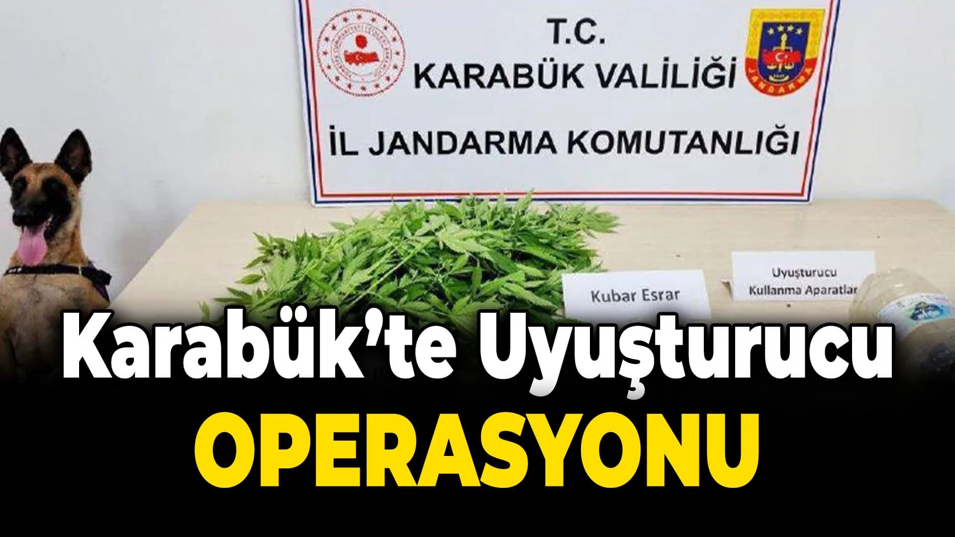 Karabük'te Uyuşturucu Operasyonu