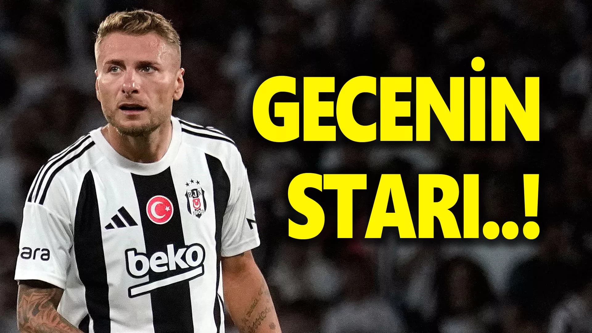 GECENİN STARI IMMOBİLE SEÇİLDİ