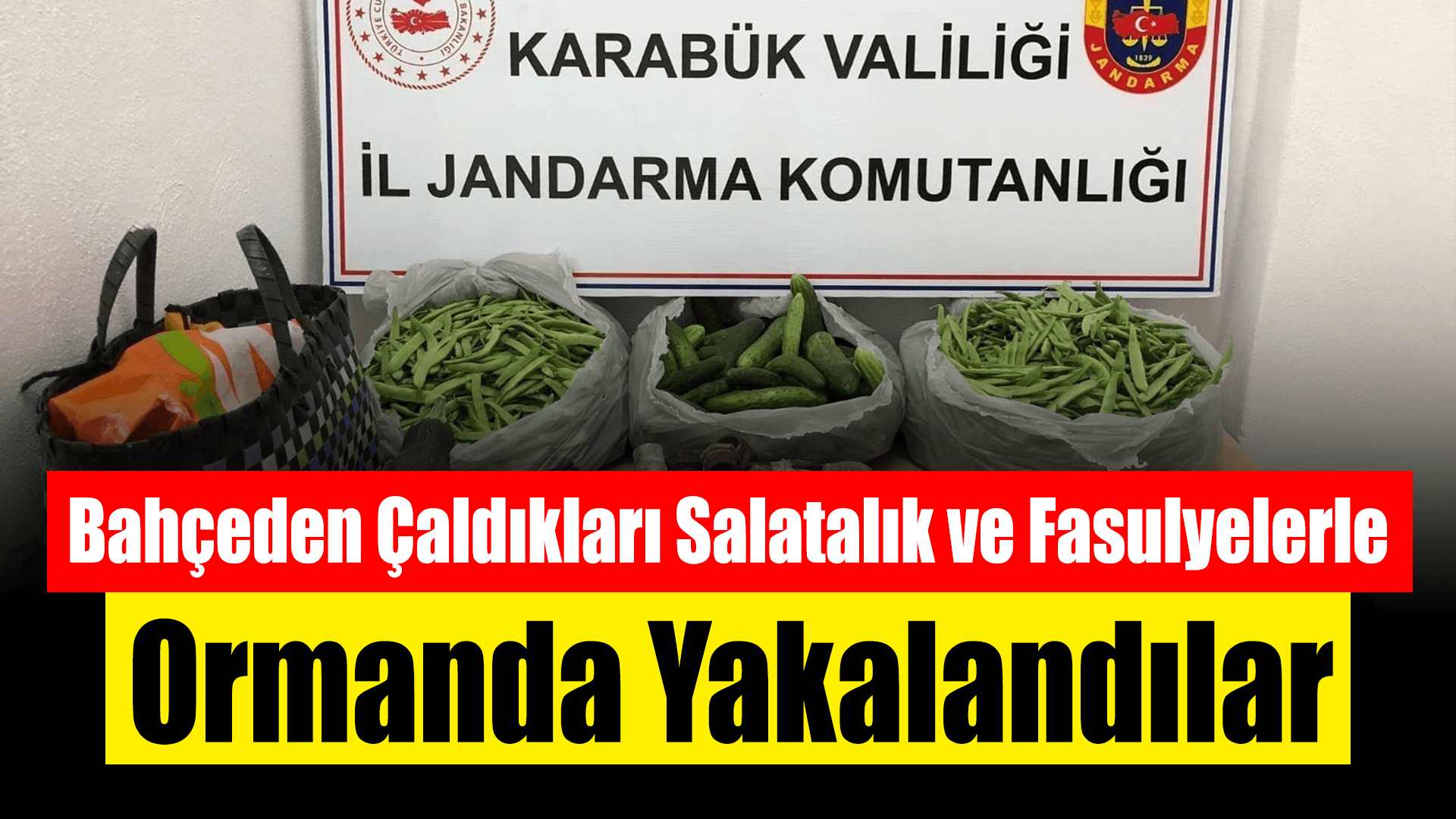 Bahçeden çaldıkları poşet poşet salatalık ve fasulyelerle ormanda yakalandılar