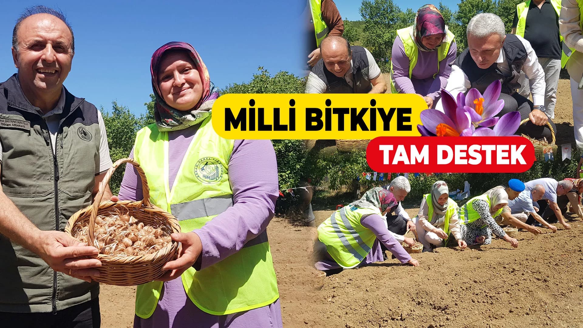 Dünyanın en pahalı baharatı safranın üretimine ORKÖY'den destek