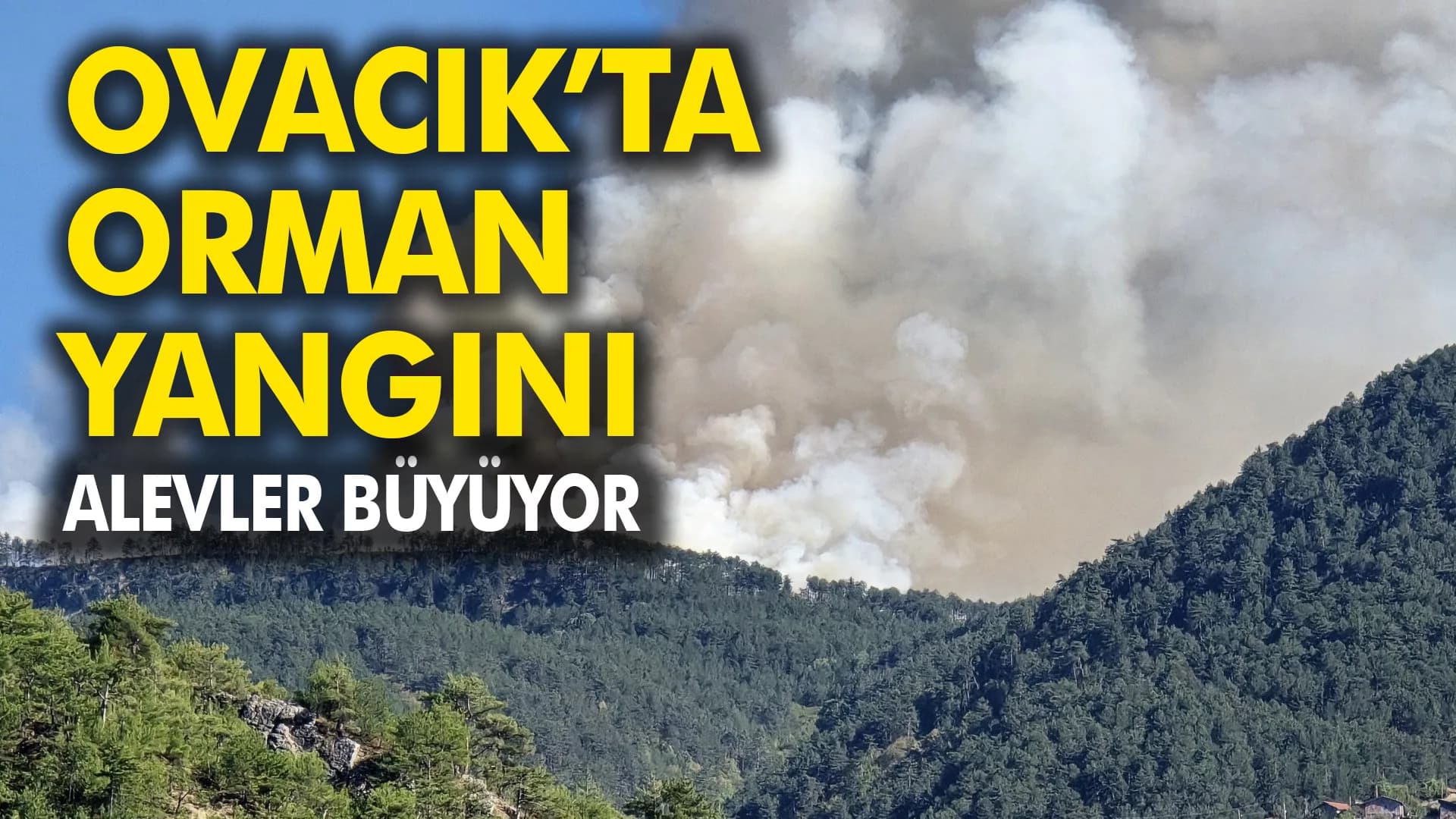 OVACIK'TA ORMAN YANGINI