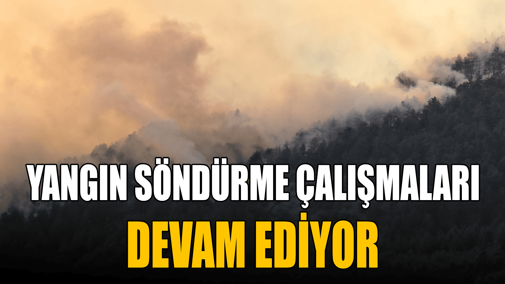 Karabük'teki orman yangınını söndürme çalışmaları 30 saattir sürüyor