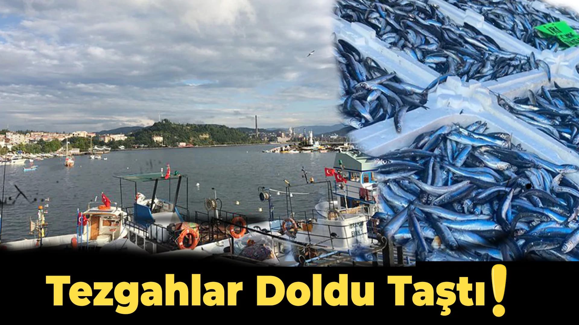 Zonguldak'ta Balıkçılar Tezgahları Şenlendirdi