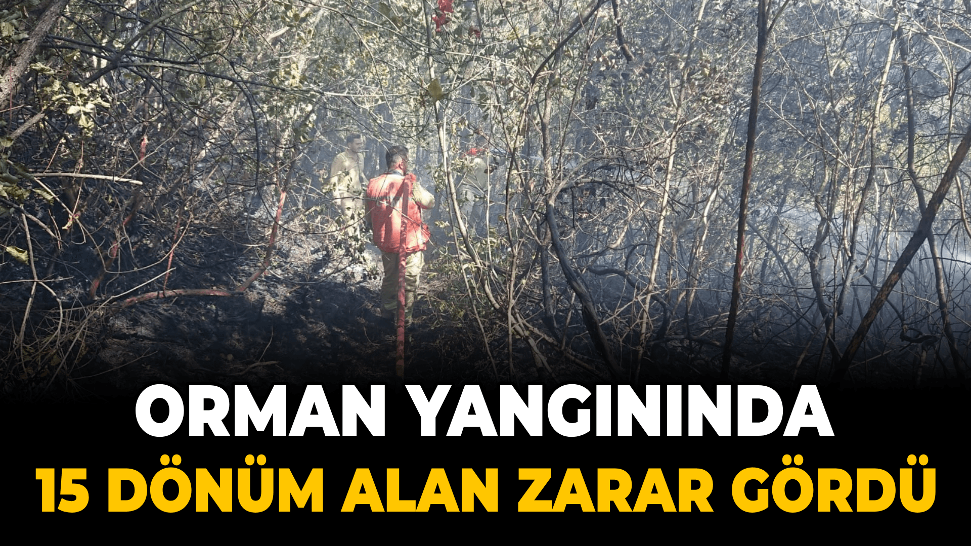 Karabük'te çıkan yangında 15 dönüm alan zarar gördü