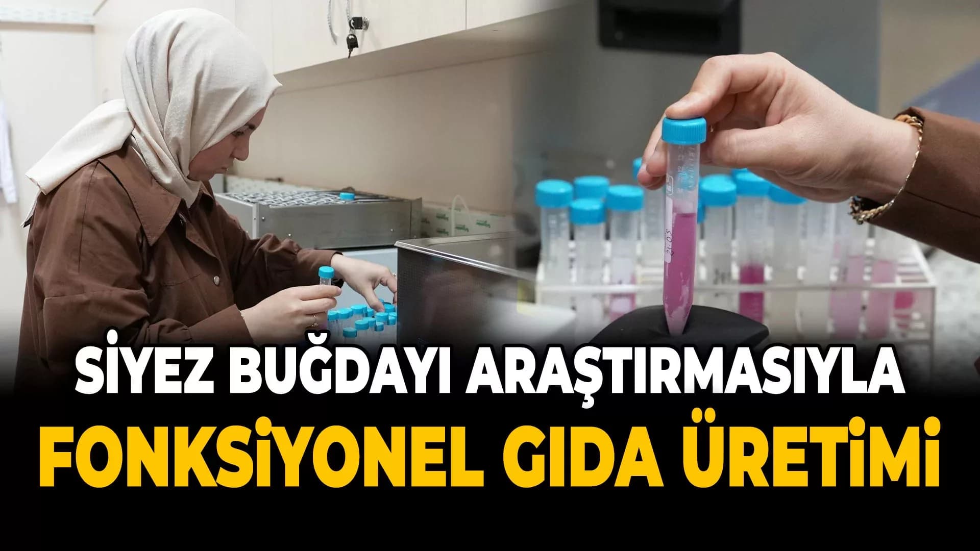 Siyez Buğdayının Kalın Bağırsak Mikrobiyotası Üzerindeki Etkileri Araştırılıyor