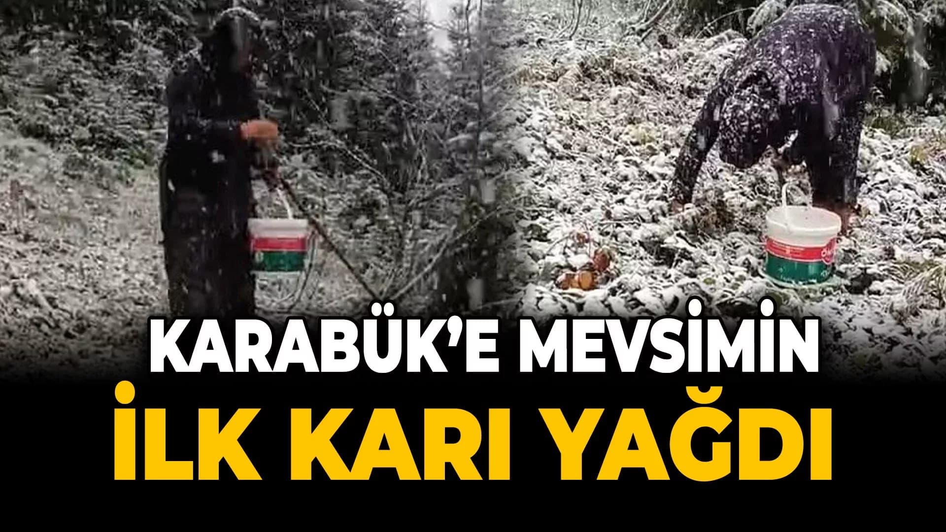 Kar Altında Mantar Toplandılar