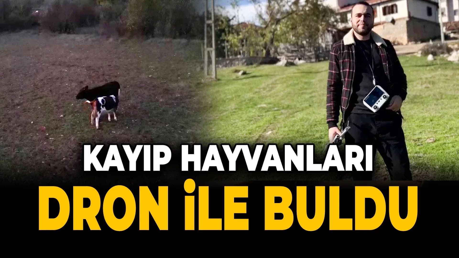 Safranbolu'da Kayıp Hayvanlar Dron ile Bulundu