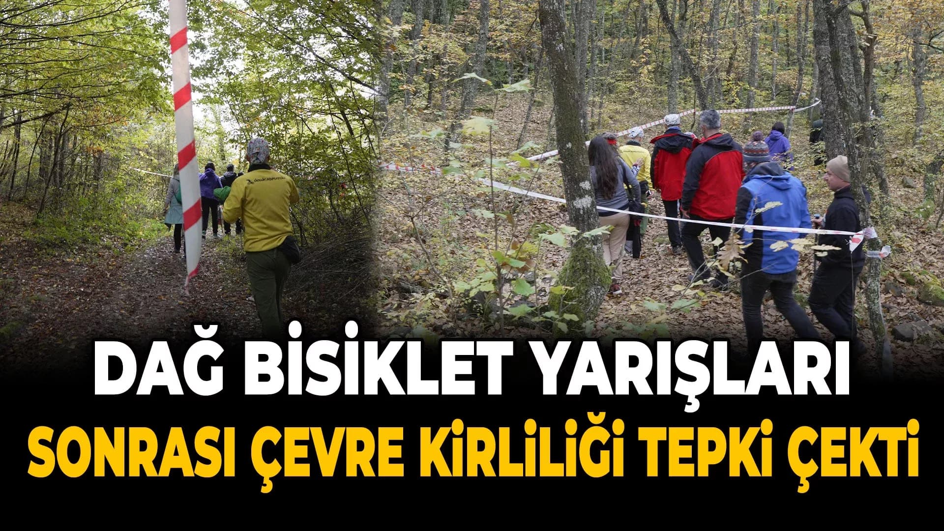 Yenice Ormanlarında Tepki Çeken Çevre Kirliliği