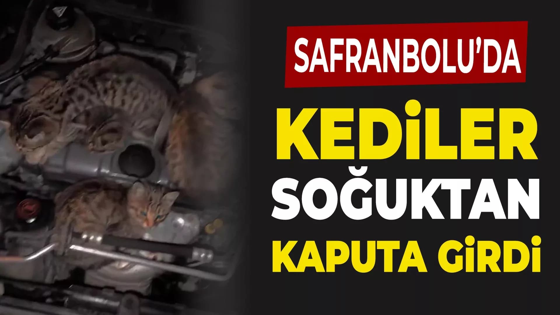 Araca Binmeden Önce Kaputa Vur