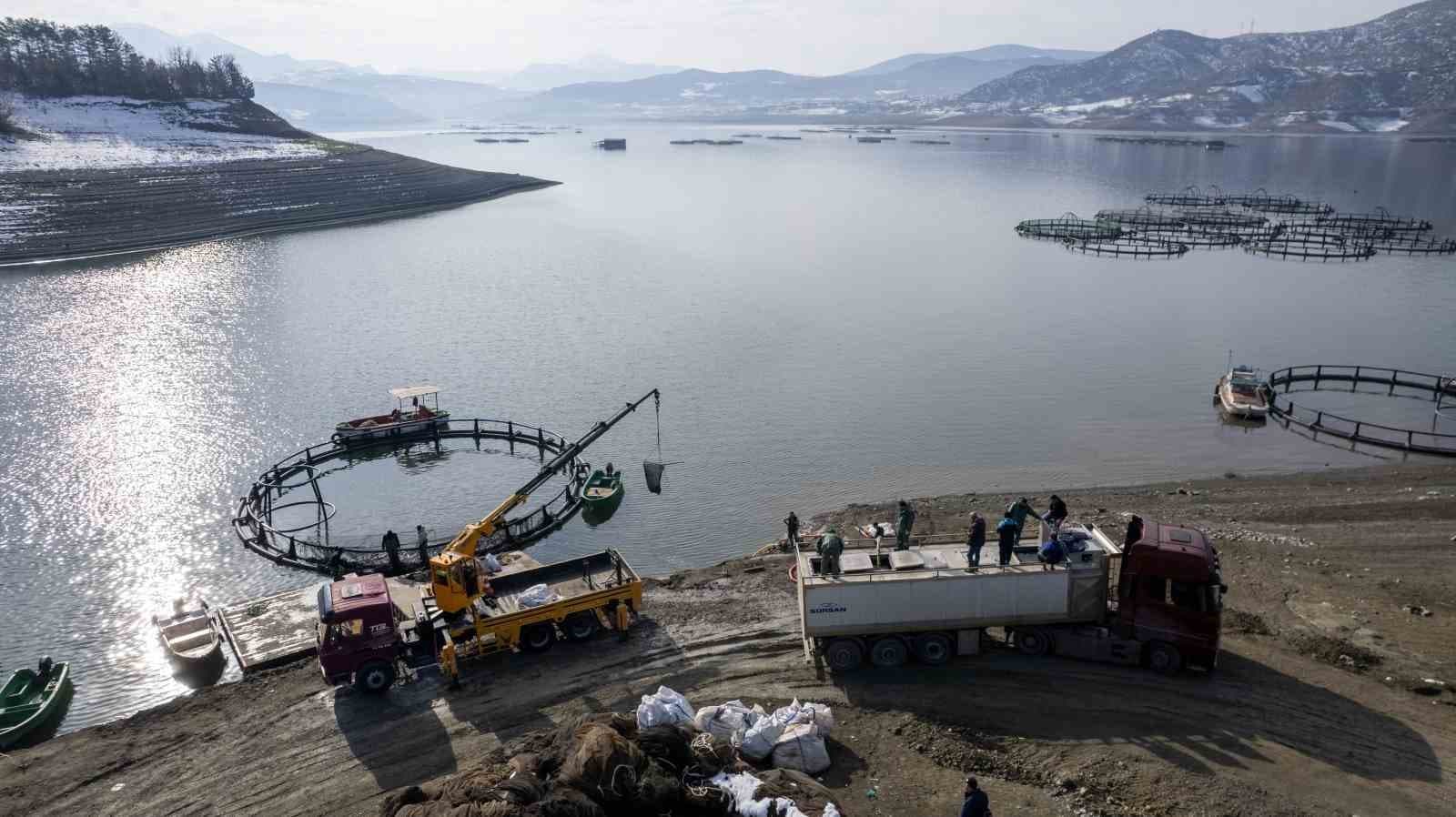 Tokat’ın somonları Karadeniz’de büyüyüp dünya sofralarına ulaşıyor