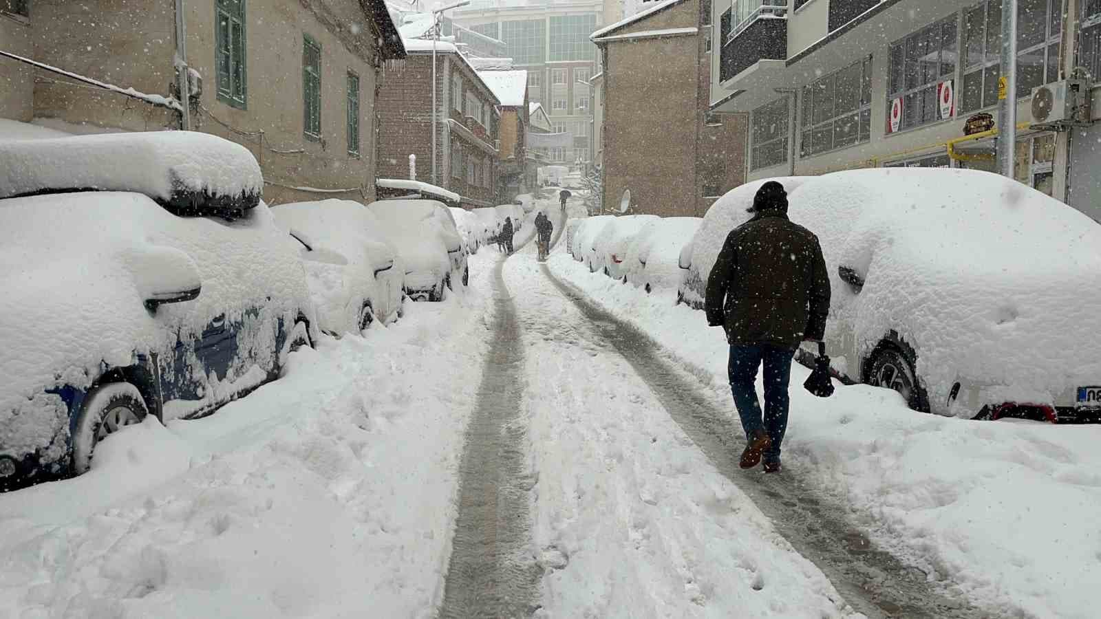 Artvin’de kar esareti