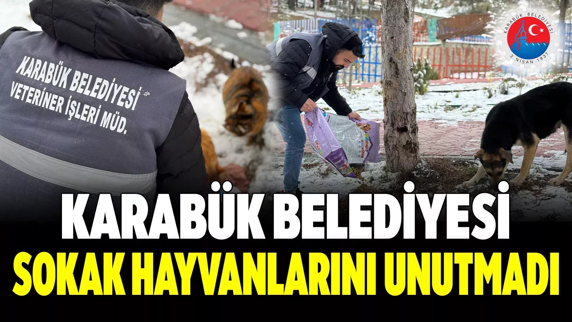 Belediye, Soğuk Havalarda Sokak Hayvanlarını Unutmadı
