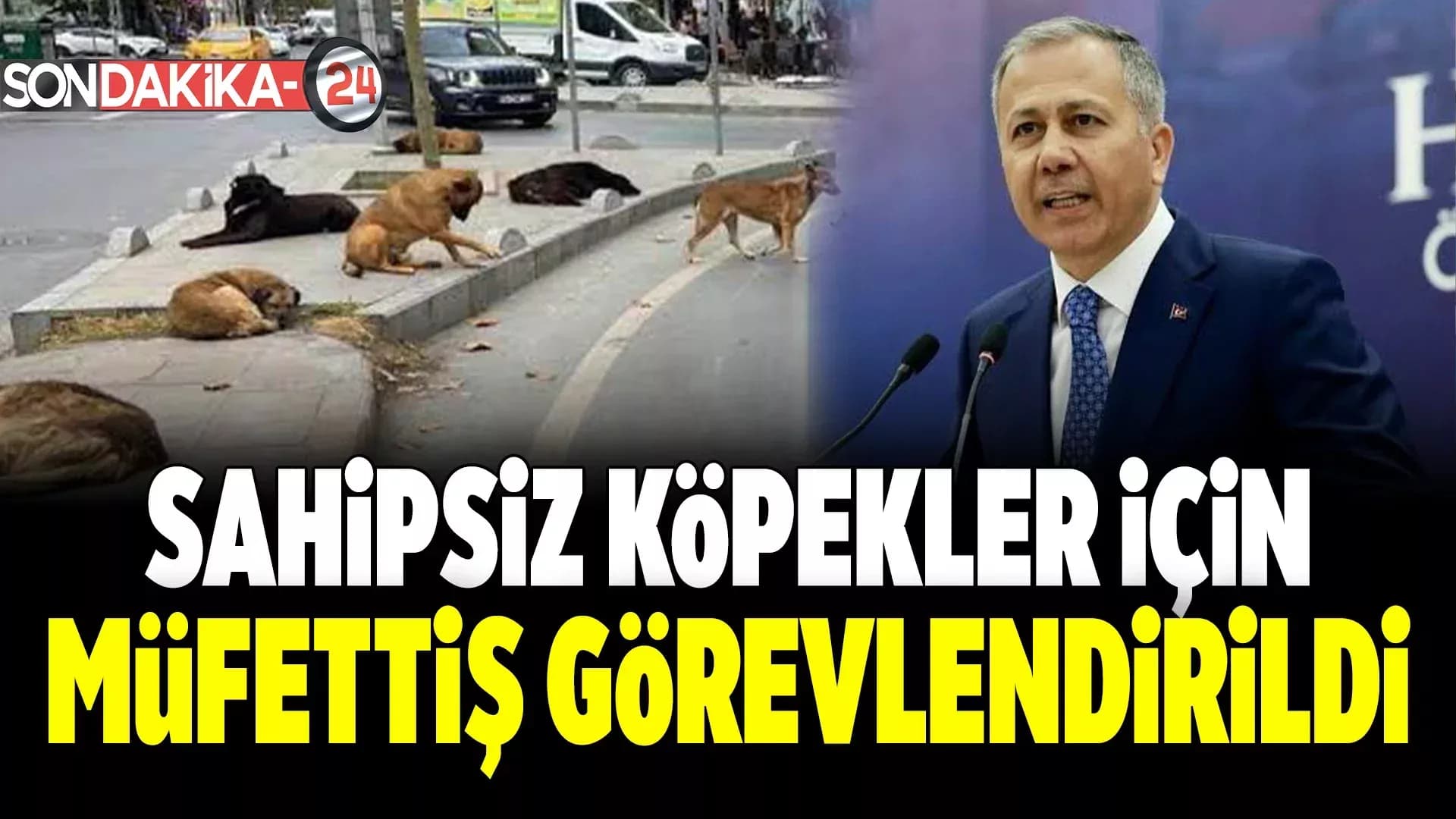 Bakan Yerlikaya'dan Sahipsiz Köpekler İçin Müfettiş Görevlendirmesi