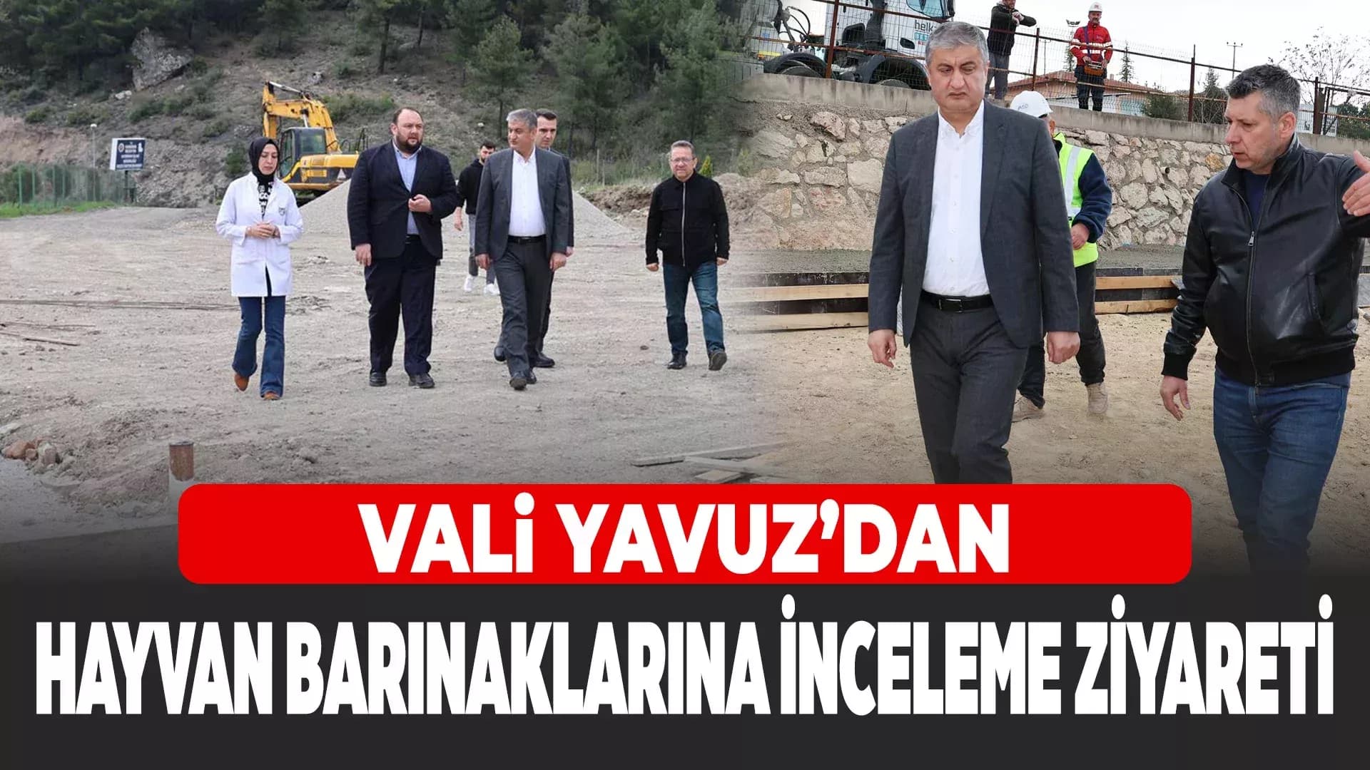Vali Mustafa Yavuz'dan Sahipsiz Hayvanlara Yakın Takip